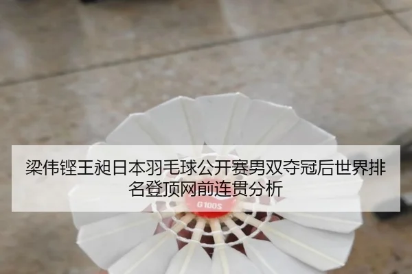 梁伟铿王昶日本羽毛球公开赛男双夺冠后世界排名登顶网前连贯分析